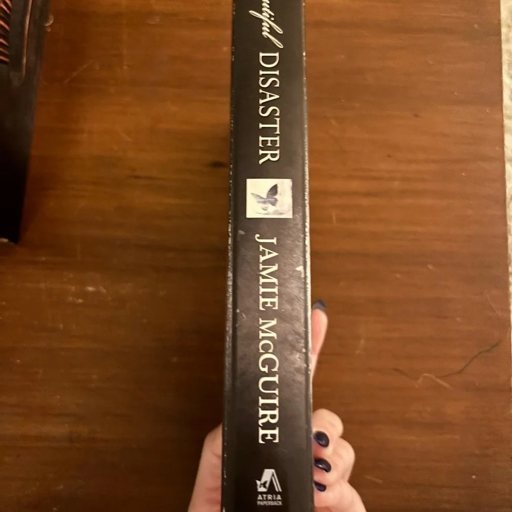 Beautiful Disaster Book​​​​​​​ - Picture 4 of 4